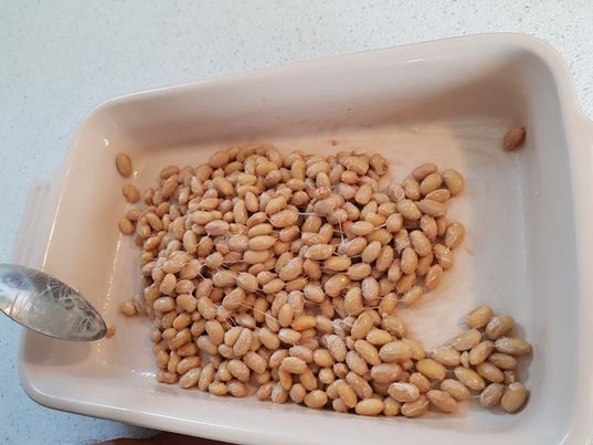 スウェーデンで納豆を作ってみた結果